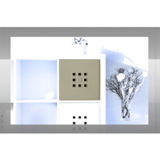 Designer Regaltür für Würfel Tür mit Flexi fuer Ikea Expedit-Kallax Nornäs XXXL Raumteiler *Sonderfarben Silbergrau