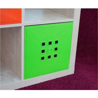 Designer Regaltür für Würfel Tür mit Flexi für Ikea Expedit-Kallax Flex Cube XXXL Raumteiler *Sonderfarben Hell-grün