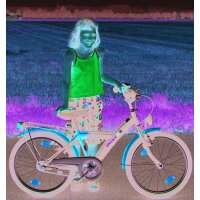 Fahrrad Kettenschutz Easy-Line 180-3- 20 Zoll für Kinderfahrrad mit 36-38 Z 1-fach Kettenblatt -Schwarz