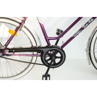 Fahrrad Kettenschutz Classic-Line 219-1 + 2 zus....