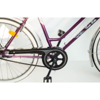 Fahrrad Kettenschutz Classic-Line 219-1 + 2 zus....